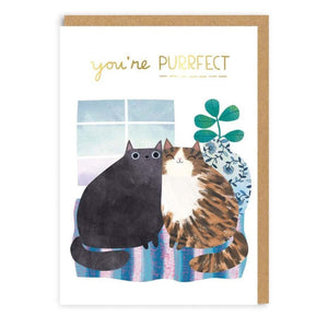 Purrfect Cats Card