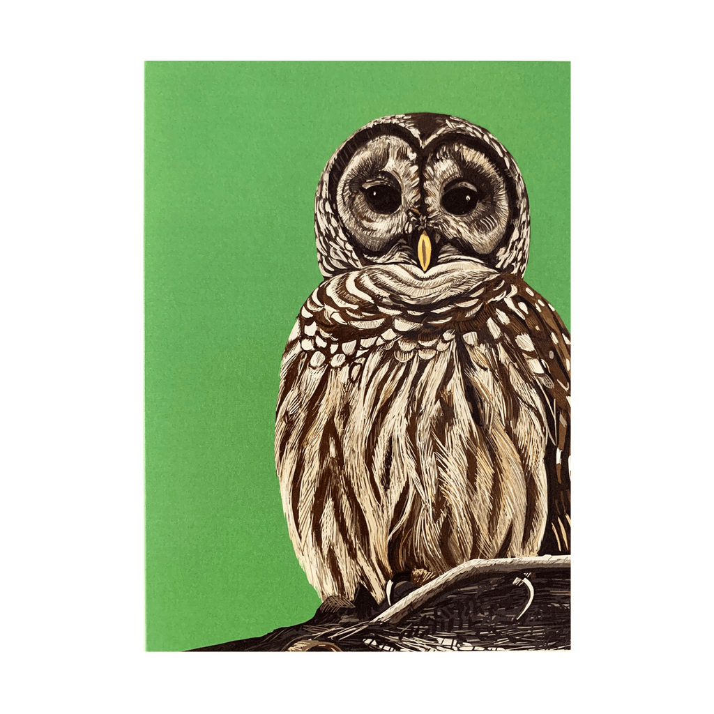 Barred Owl Card