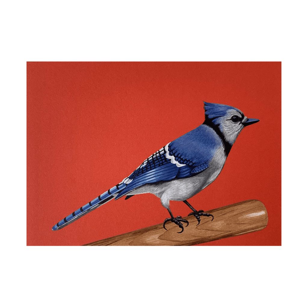 Blue Jay on Baseball Bat Card