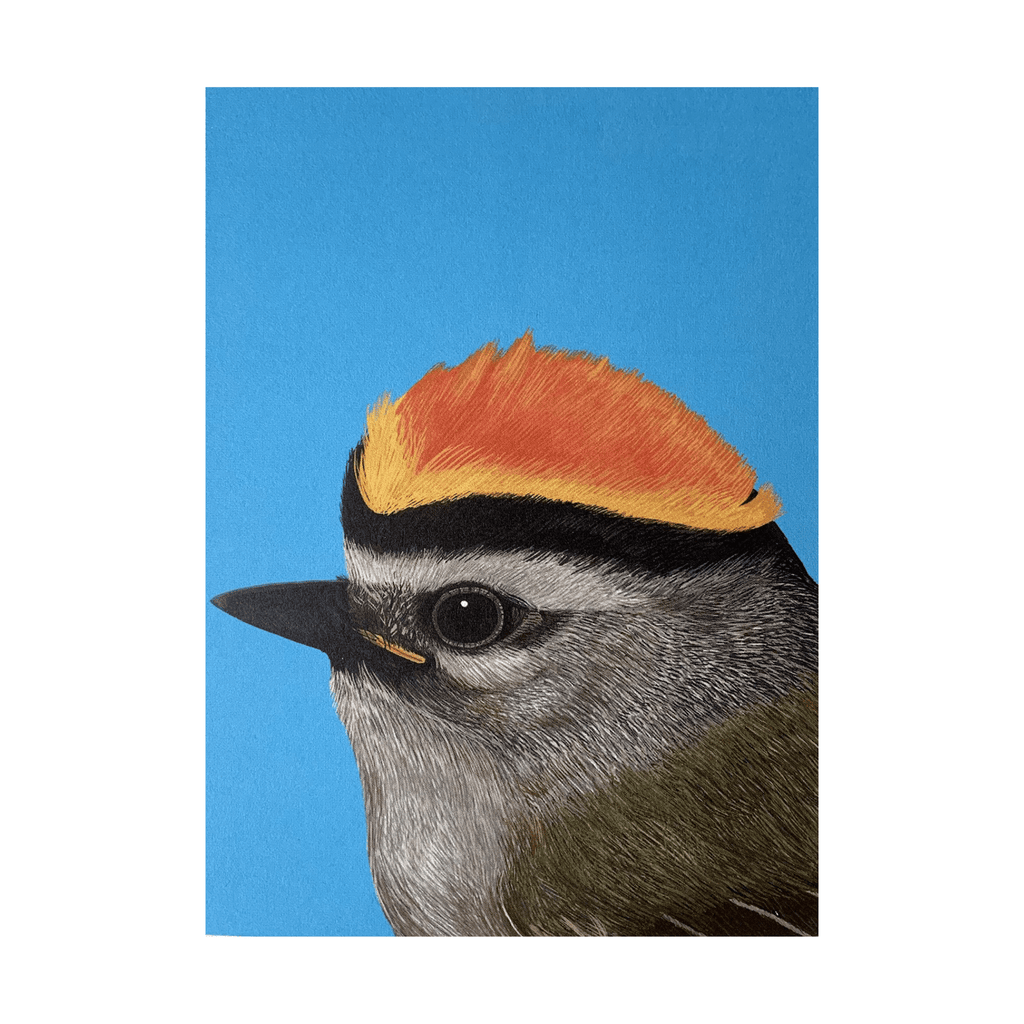 Golden-Crowned Kinglet Card