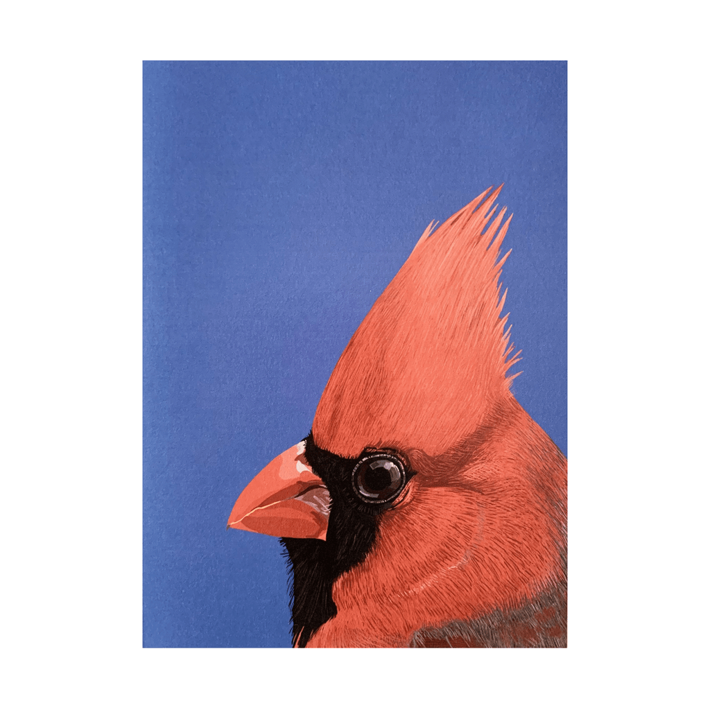 Northern Cardinal Card