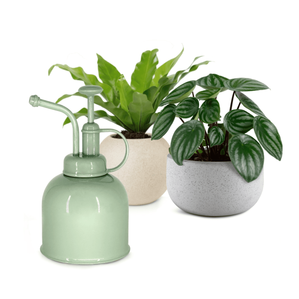Plant Mister