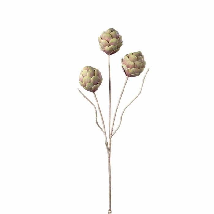 Desert Artichoke Stem