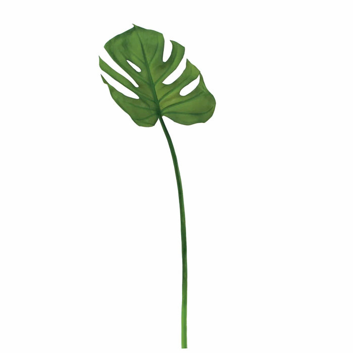 Monstera Leaf Stem