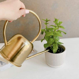 Watering Can, Gold